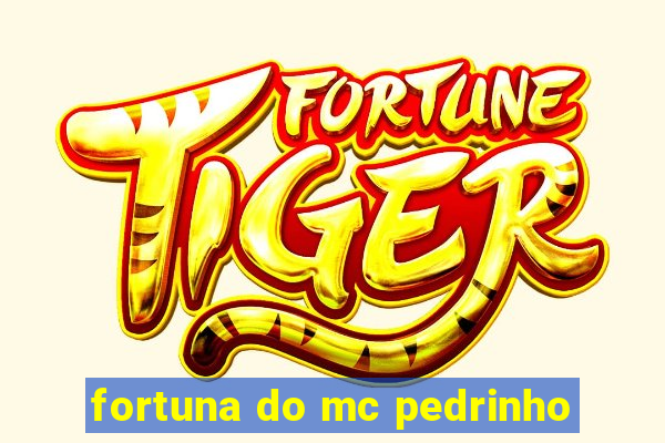 fortuna do mc pedrinho